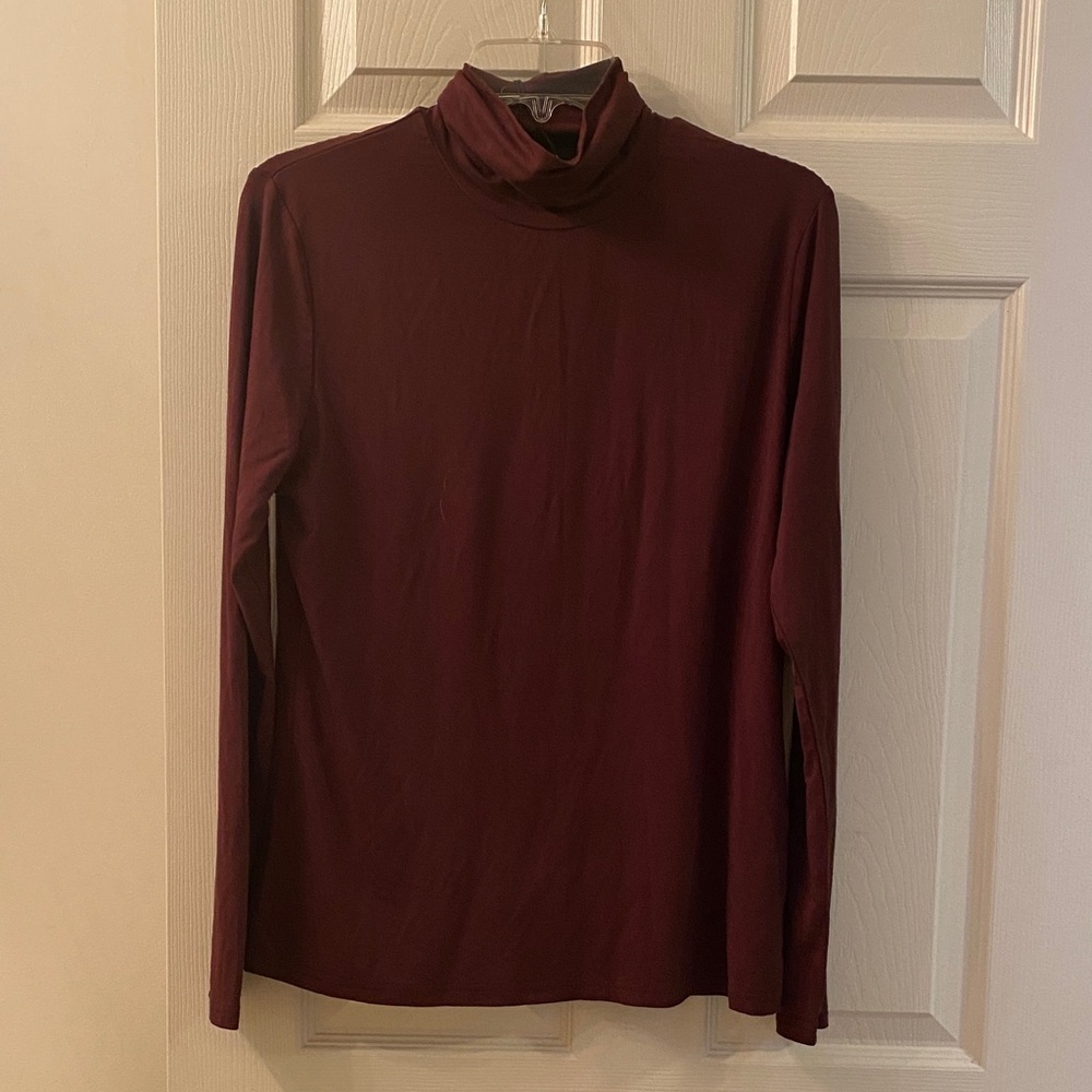 Aleeza Paris Elegant Dark Brown Turtleneck Sweater